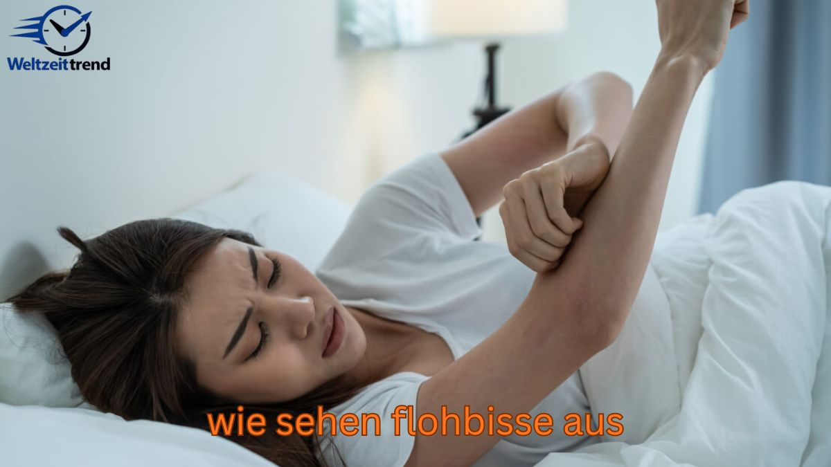 wie sehen flohbisse aus wie sehen flohbisse aus